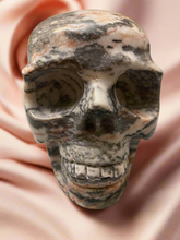 Load image into Gallery viewer, Pink Zebra Skull
