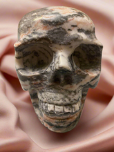 Load image into Gallery viewer, Pink Zebra Skull
