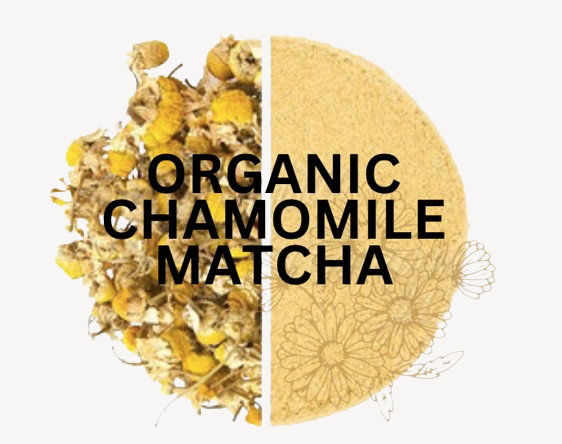 organic chamomile matcha